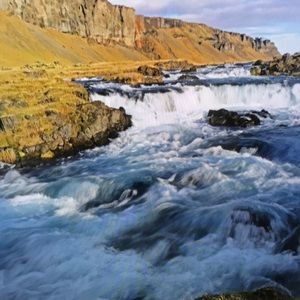 Meet your Posher, Charlie